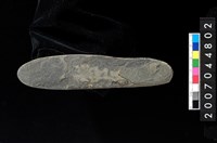 藏品(磨製石器殘件)的圖片