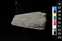 藏品(磨製石器殘件)的圖片