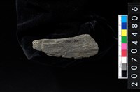 藏品(石器殘件)的圖片