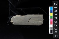 藏品(磨製石器殘件)的圖片