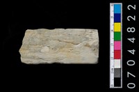 藏品(磨製石器殘件)的圖片