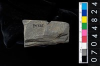 藏品(磨製石器殘件)的圖片