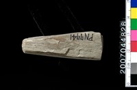 藏品(磨製石器殘件)的圖片