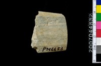 藏品(磨製石器殘件)的圖片