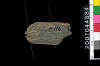 藏品(磨製石器殘件)的圖片