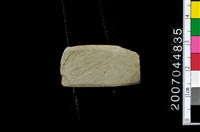 藏品(磨製石器殘件)的圖片