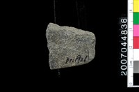 藏品(磨製石器殘件)的圖片