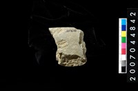 藏品(磨製石器殘件)的圖片