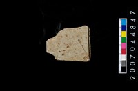 藏品(磨製石器殘件)的圖片