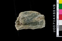 藏品(玉廢料)的圖片