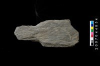 藏品(不明石器)的圖片