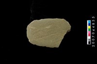 藏品(不明石器)的圖片