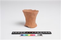 藏品(豆足)的圖片