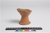 藏品(豆足)的圖片