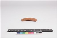 藏品(罐口緣)的圖片