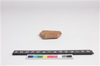 藏品(頸折)的圖片