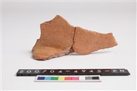 藏品(頸折)的圖片