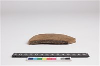 藏品(腹片)的圖片