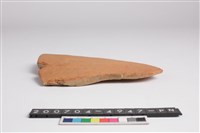 藏品(腹片)的圖片