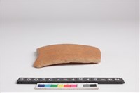 藏品(腹片)的圖片