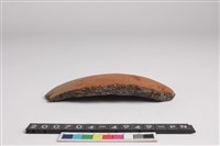 藏品(腹片)的圖片