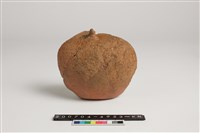 藏品(陶瓶殘件)的圖片