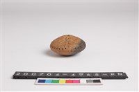 藏品(陶紡輪)的圖片