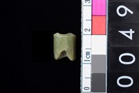 藏品(玉管珠)的圖片