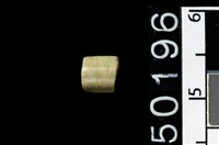 藏品(玉管珠)的圖片