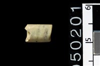 藏品(玉管珠)的圖片