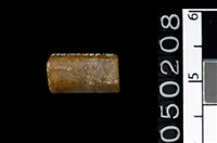 藏品(玉管珠)的圖片