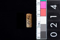 藏品(玉管珠)的圖片