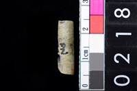 藏品(玉管珠)的圖片