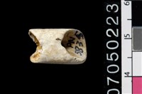 藏品(玉管珠)的圖片