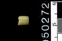 藏品(玉管珠)的圖片