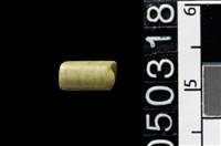 藏品(玉管珠)的圖片