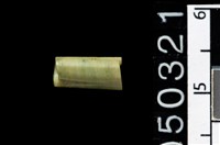 藏品(玉管珠)的圖片