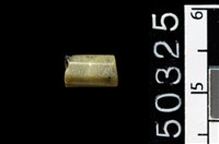 藏品(玉管珠)的圖片