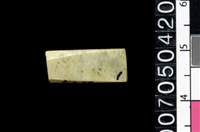 藏品(玉管珠)的圖片