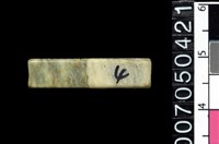 藏品(玉管珠)的圖片