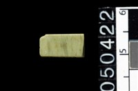 藏品(玉管珠)的圖片