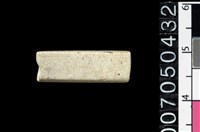 藏品(玉管珠)的圖片