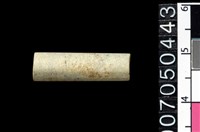 藏品(玉管珠)的圖片