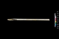 藏品(玉管)的圖片