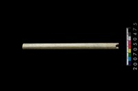 藏品(玉管)的圖片