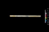 藏品(玉管)的圖片