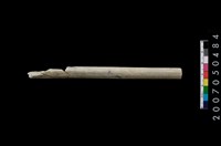 藏品(玉管)的圖片