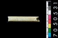 藏品(玉管)的圖片