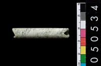 藏品(玉管)的圖片