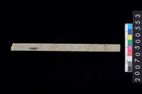 藏品(玉管)的圖片